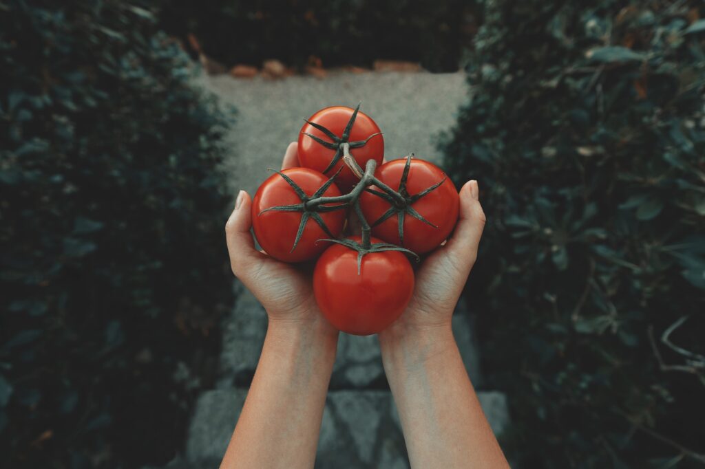 девушка держит помидоры