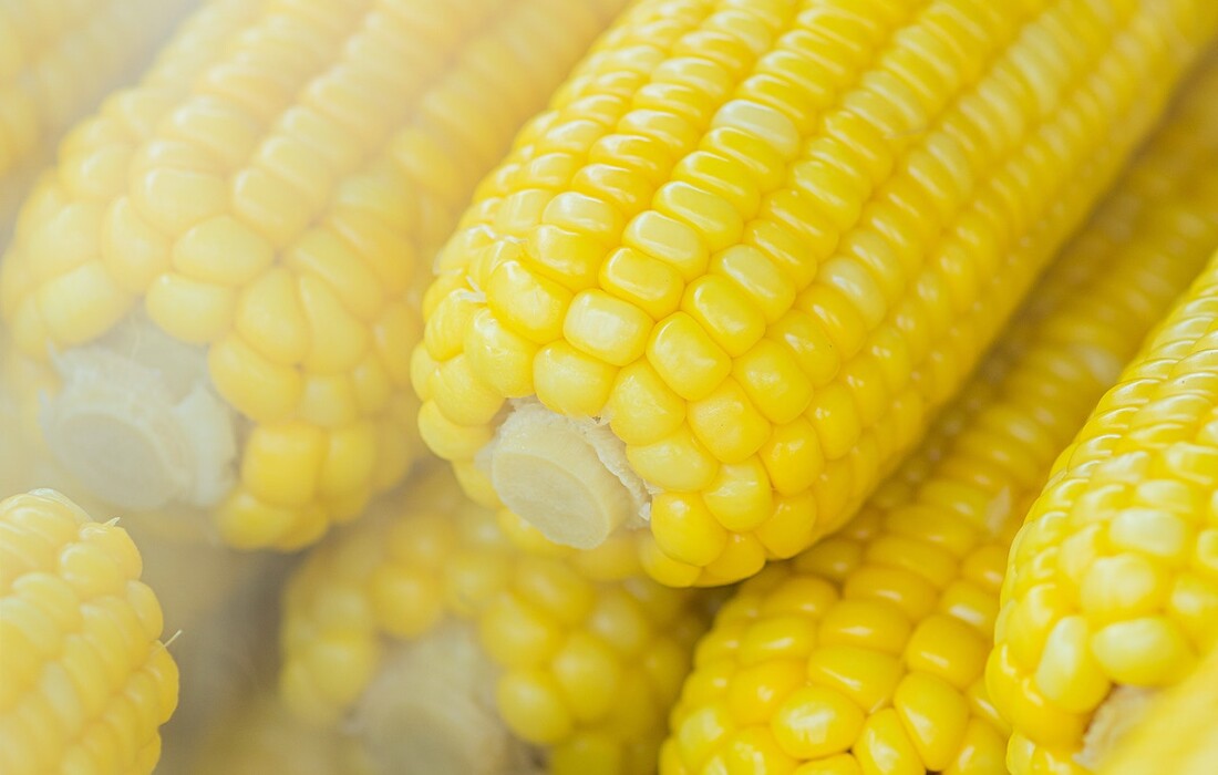 Кукурузная диета для похудения и её виды: как можно похудеть на кукурузе