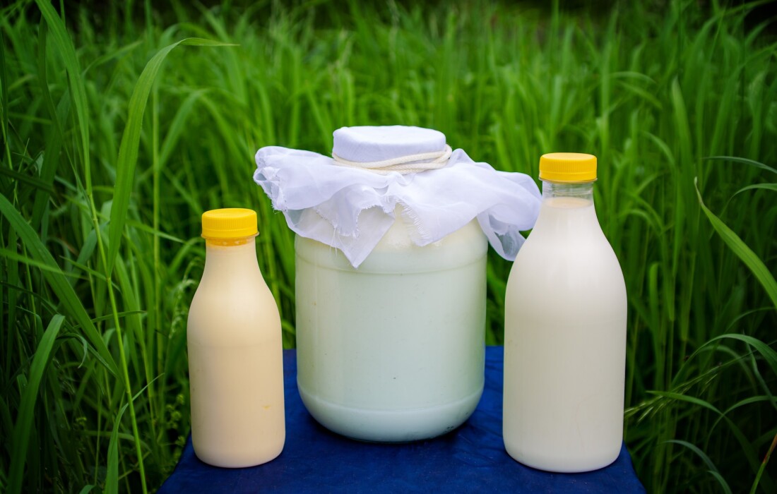 Польза и вред козьего молока для организма человека