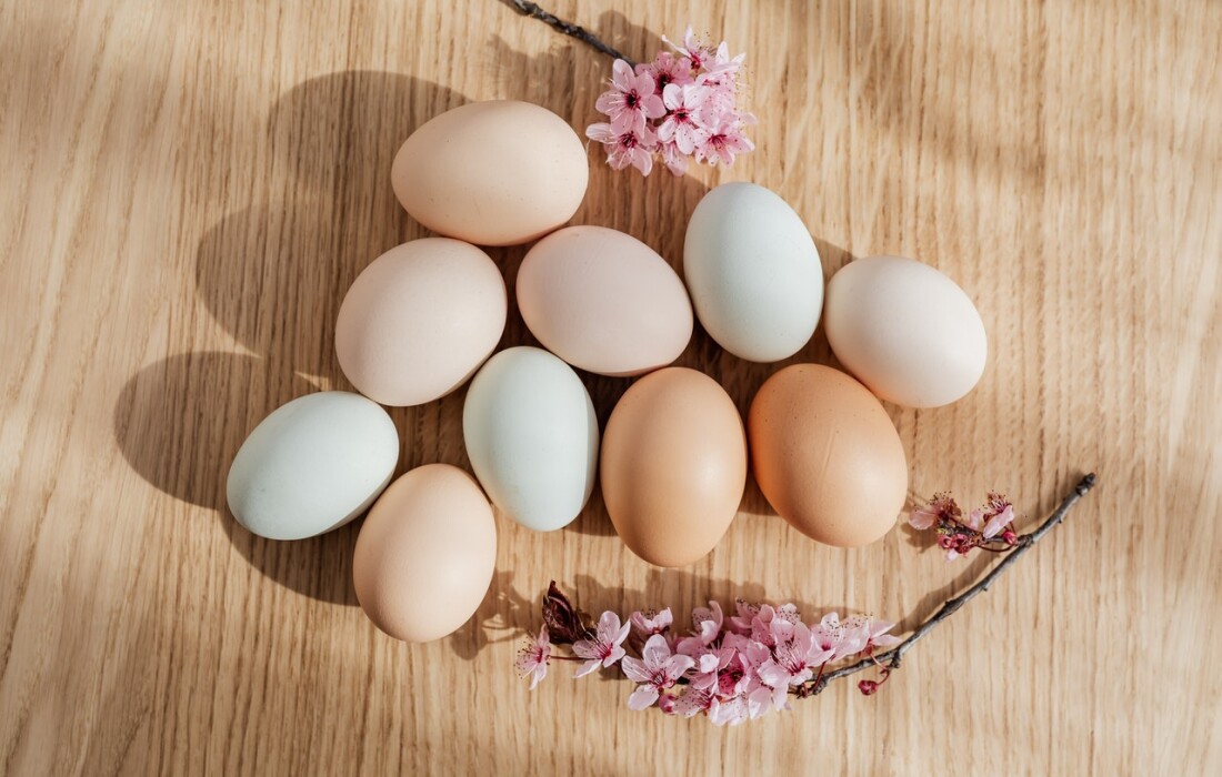 Что такое яичная диета: какие принципы в её основе, в чём польза и вред