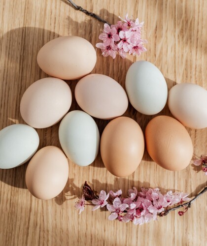 Что такое яичная диета: какие принципы в её основе, в чём польза и вред
