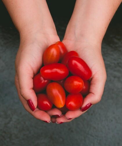 Могут ли помидоры наносить вред организму