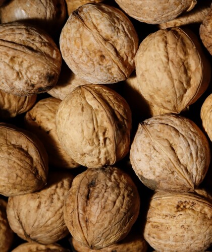 Полезные свойства грецких орехов для женщин и их калорийность