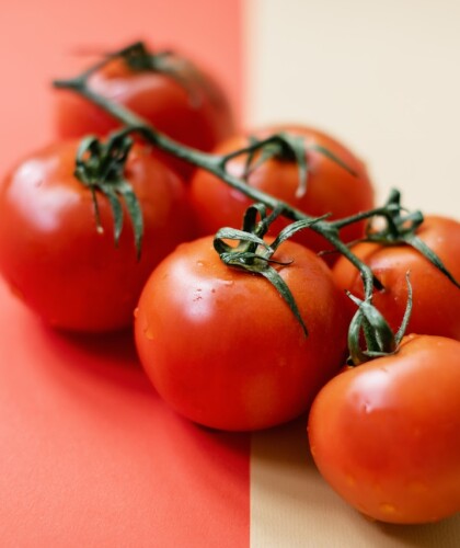 Польза и вред томатов для здоровья организма человека