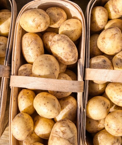 Картофельная диета: меню с рецептами из разрешённых продуктов
