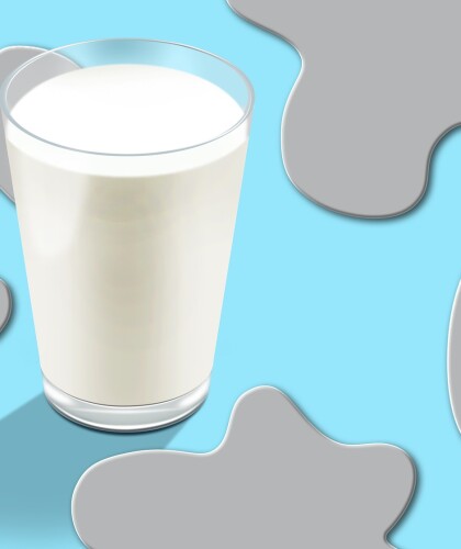 Что такое немолоко: в чем польза и вред овсяного напитка