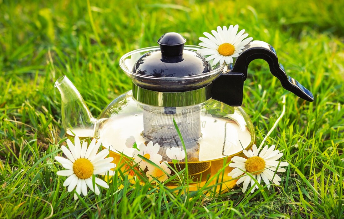 Польза и вред ромашкового чая для здоровья женщин
