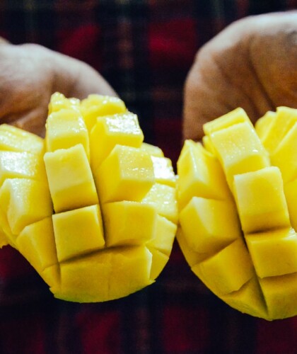 Масло манго для тела, лица и волос и его свойства – как использовать средство