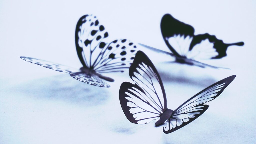 нарисованные бабочки