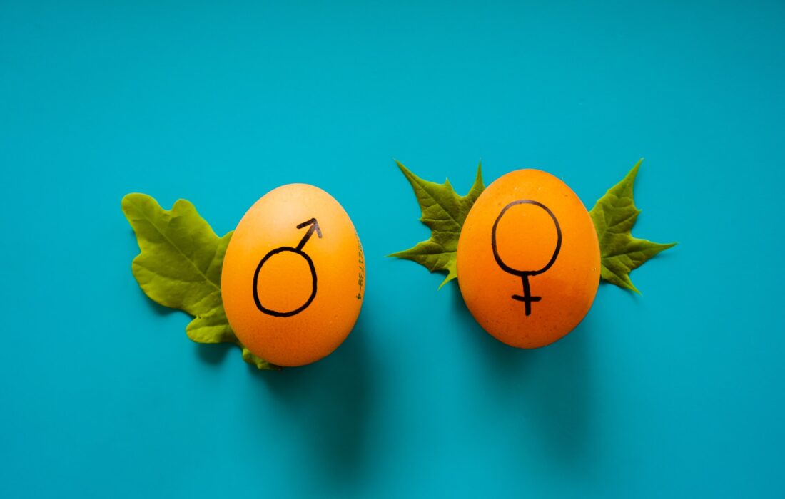 женский и мужской значки на яйцах