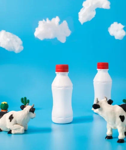 молочко и коровки