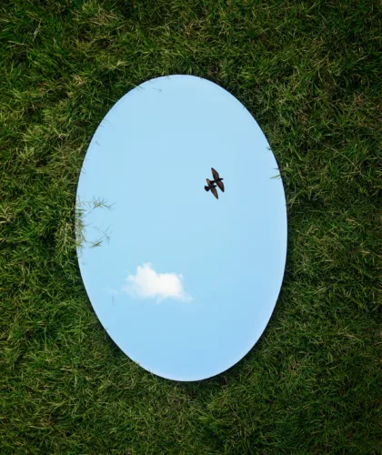 зеркало на траве