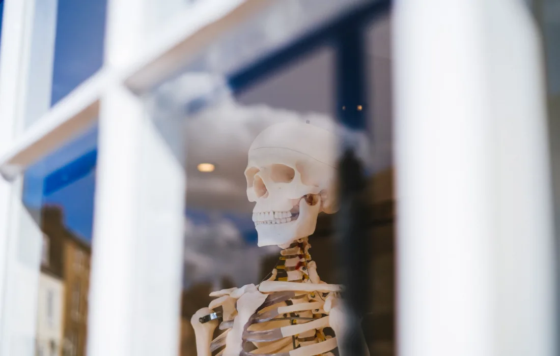 скелет смотрит в окно