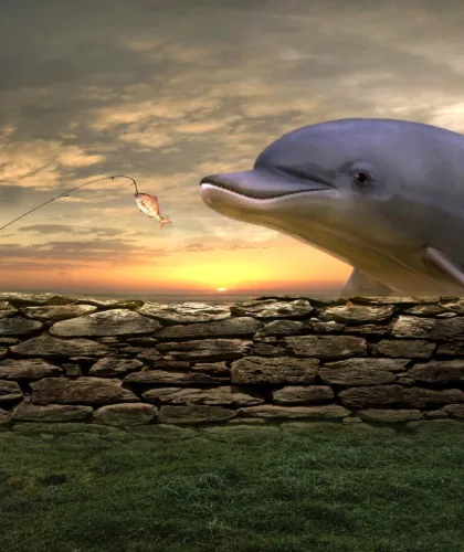арт рыбалки с дельфином