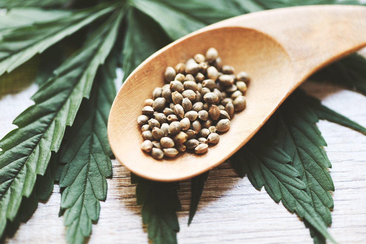 Конопляное семя свойства и противопоказания относиться ли марихуана к наркотикам