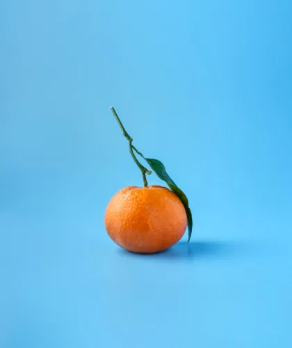 мандарин